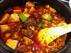 金牌麻辣豆腐-陈麻婆豆腐总店