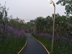 -飞凤山奥体公园