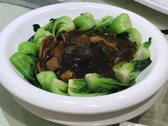 蚝豉发菜扣猪脷-德烨酒家