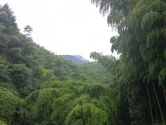 -藏龙百瀑风景区