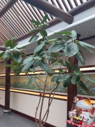 -爱儿美儿童摄影(五路居花园别墅店)