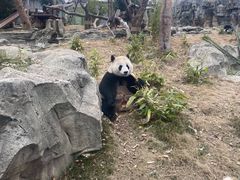 -武汉动物园
