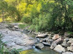 -广州白江湖森林公园