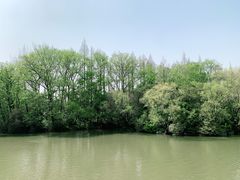 -上海滨江森林公园