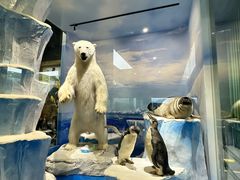 -国家自然博物馆