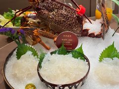 澳洲龙虾-協成海鮮火鍋(老店)