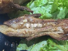 -锦州烧烤(北太平庄店)
