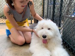 -TrueLove @ Neverland (Husky Cafe)