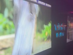 -温莎KTV(珠江路店)