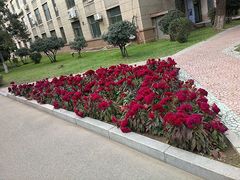-辽宁大学(崇山校区)