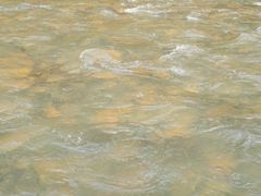 -九曲溪竹筏码头