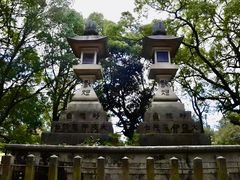-奈良公园