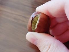 -鑫鑫栗王(吉祥商城店)