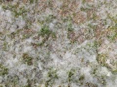 -汉长安城未央宫国家考古遗址公园