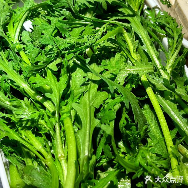 城墙边的港式打邊爐牛腩牛雜煲‼️满满一锅让冬天的幸福感爆棚