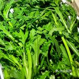 城墙边的港式打邊爐牛腩牛雜煲‼️满满一锅让冬天的幸福感爆棚