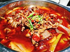 -宽口美蛙鱼头(大唐西市店)