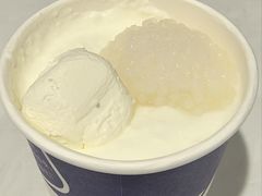 -西琳姑娘·新疆冰淇淋酸奶茶(南开大悦城店)