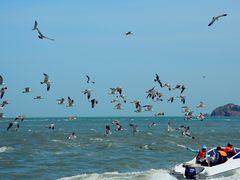 -海驴岛(荣成市)