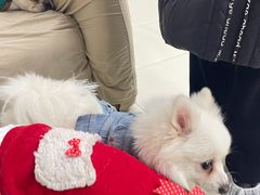 -怪兽屋·羊驼·猫咖·狗咖(俊华广场店)