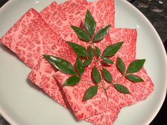 -然锅料理