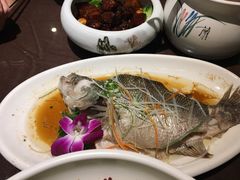 -刘胖子家常菜·蹄花焖藕(兴业店)