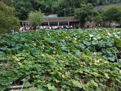 -韶山毛泽东同志故居