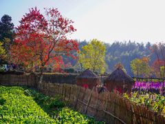 -塔川景区