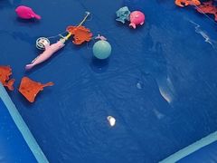 -英孚教育青少儿(河东中心)