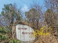 -白水寺森林公园