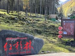 -硗碛藏寨·神木垒景区