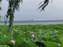 -阳澄湖费尔蒙酒店