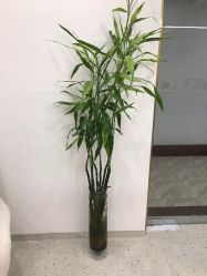 -苗方清颜·祛痘皮肤管理
