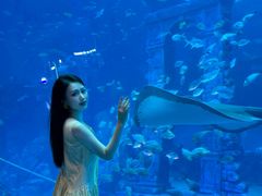 -南昌融创海世界
