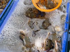 -渔家火锅·海鲜自助餐·演艺(亚龙湾天域酒店)
