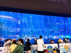 -成都浩海立方海洋公园