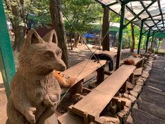 -宫城藏王狐狸村