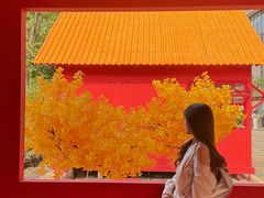 -龙湖杭州滨江天街