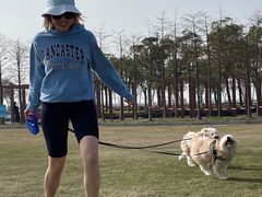 -春花秋色城市公园