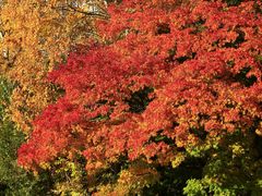 -北海道厅旧本厅舍(旧本庁舎)