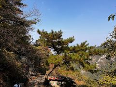 -庐山风景区花径公园