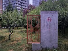 -木塔寺遗址生态公园
