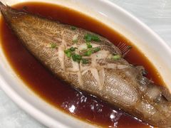 葱油玉秃-洲晓鲜·舟山海鲜大排档(朱家尖风景区店)