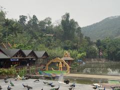 -西双版纳原始森林公园
