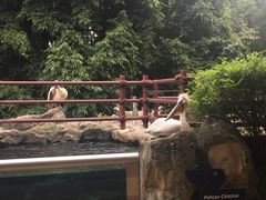 -新加坡飞禽公园