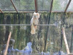 -杭州野生动物世界