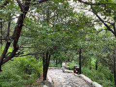 -阳台山自然风景区