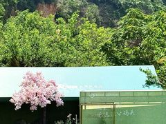 -渔公码头·九龙湾国际饭店