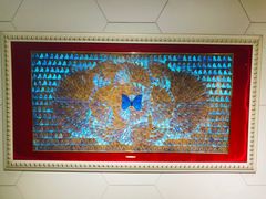 -上海昆虫博物馆