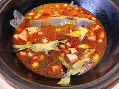 -大鹅岛灶台鱼·铁锅炖(水库路店)